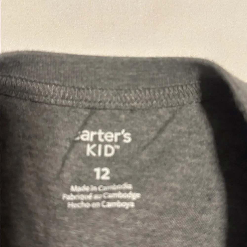 Carter's Gray Long Sleeve Shark Tee